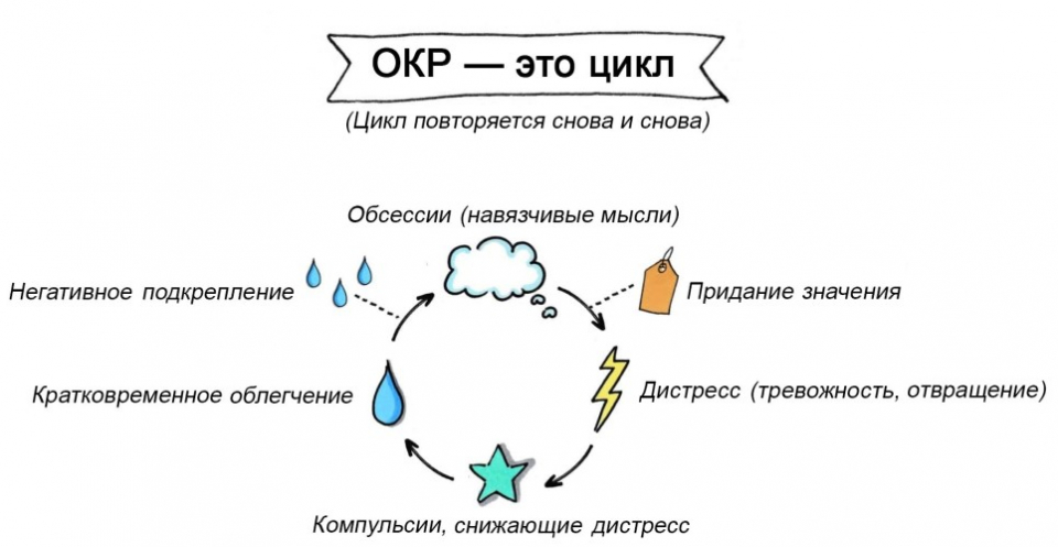 Почему у человека возникают почему?