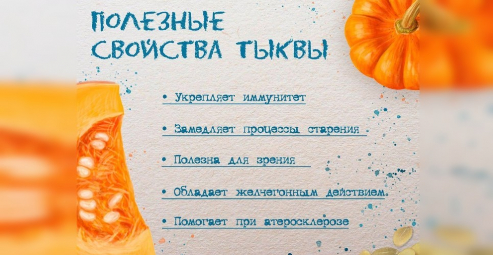 Полезные свойства тыквы | Elementaree