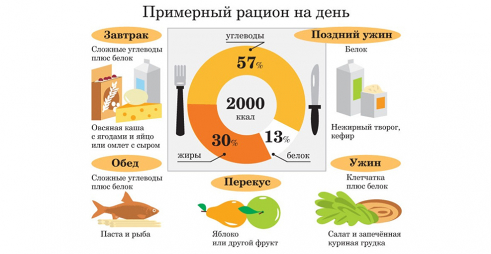 Порно наглядная анатомия женского тела: видео найдено на Инцестик